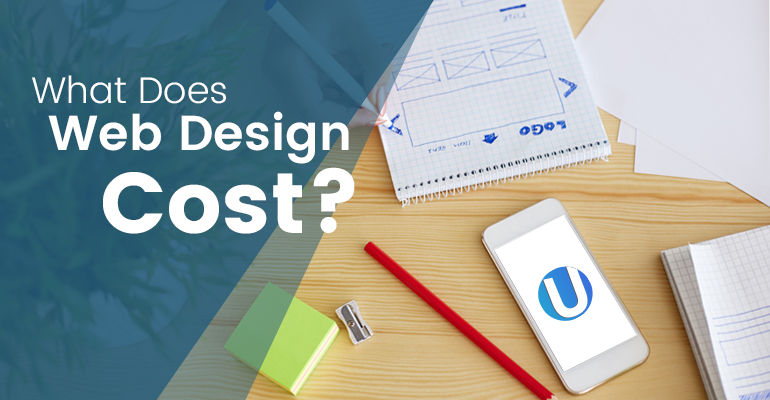 what does website design cost