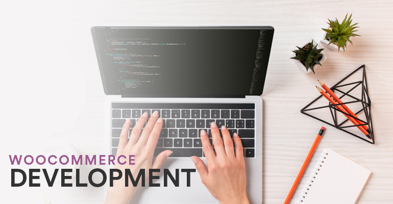 WordPress WooCommerce Developer