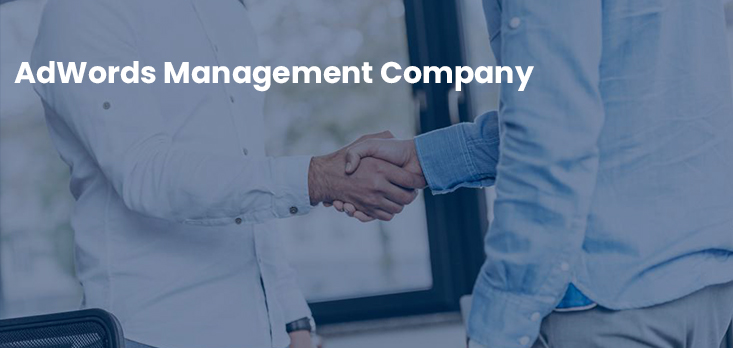 AdWords Management Company