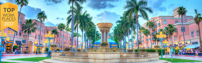 Web Design Boca Raton Web Design Boca Raton