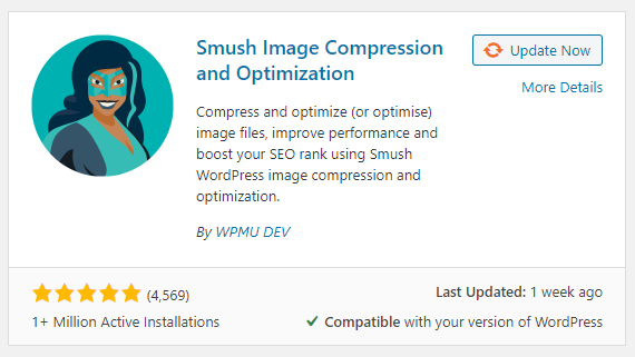 WordPress Web Design Boca Raton - Smush - By WPMU DEV 