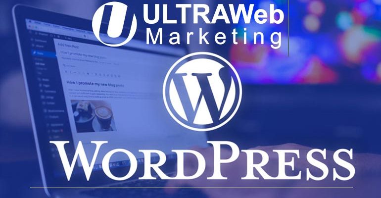 WordPress Web Design Experts in Boca Raton