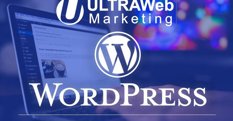 eCommerce WordPress Web Design